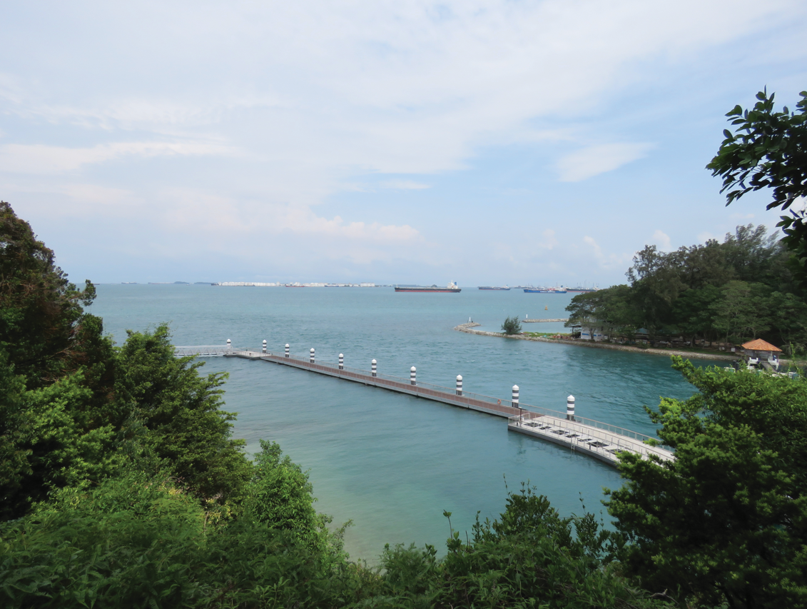 Scenic view of the sea with a pier extending into the water. Lush greenery frames the view. Ships are visible in the distance.